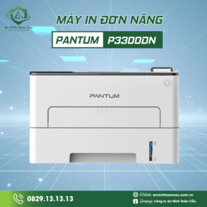 Máy in Pantum P3300DN - In đơn năng